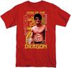 Popfunk Bruce Lee Framed Year of The Dragon Unisex Adult T Shirt