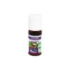 Dr. Valnet Gaultlhérie Essential Oil 10ml