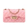 Argyle Jelly Small Handbag 2024: Fashionable & Versatile Shoulder Chain Bag for Women