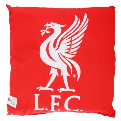 Childrens/Kids Official Filled Football Crest Cushion