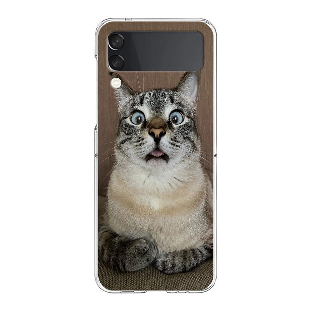 Transparent Phone Case For Samsung Galaxy Z Flip 3 4 5 6 7 Hard Folding PC Z Flip3 Flip4 Cover Funny Cartoon Korean Cat Couple