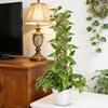 4pcs Plants Moss Pole Garden Subject Flower Plant Climbers Bonsai Accessories Pots Tutors For Planter Growth Holder Support