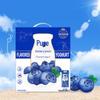 Mengniu Chunzhen Blueberry Flavored Yogurt
