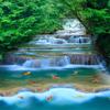 Wasserfall Tapete Fließendes Wasser Goldfisch Foto Wandbild Natur Landschaft Wandmalerei Heimdekor Wandpapier