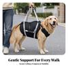 Dog Support Harness with Reflective Straps Rehabilitation Mobility