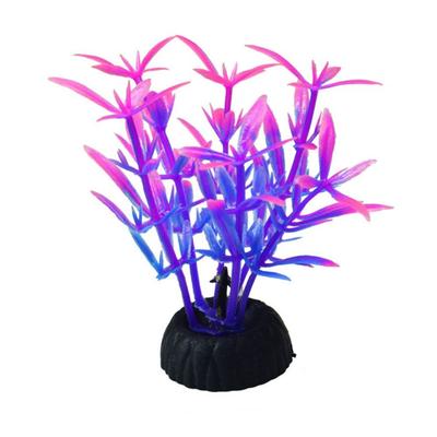 Akvariedjur – Akvarietillbehör