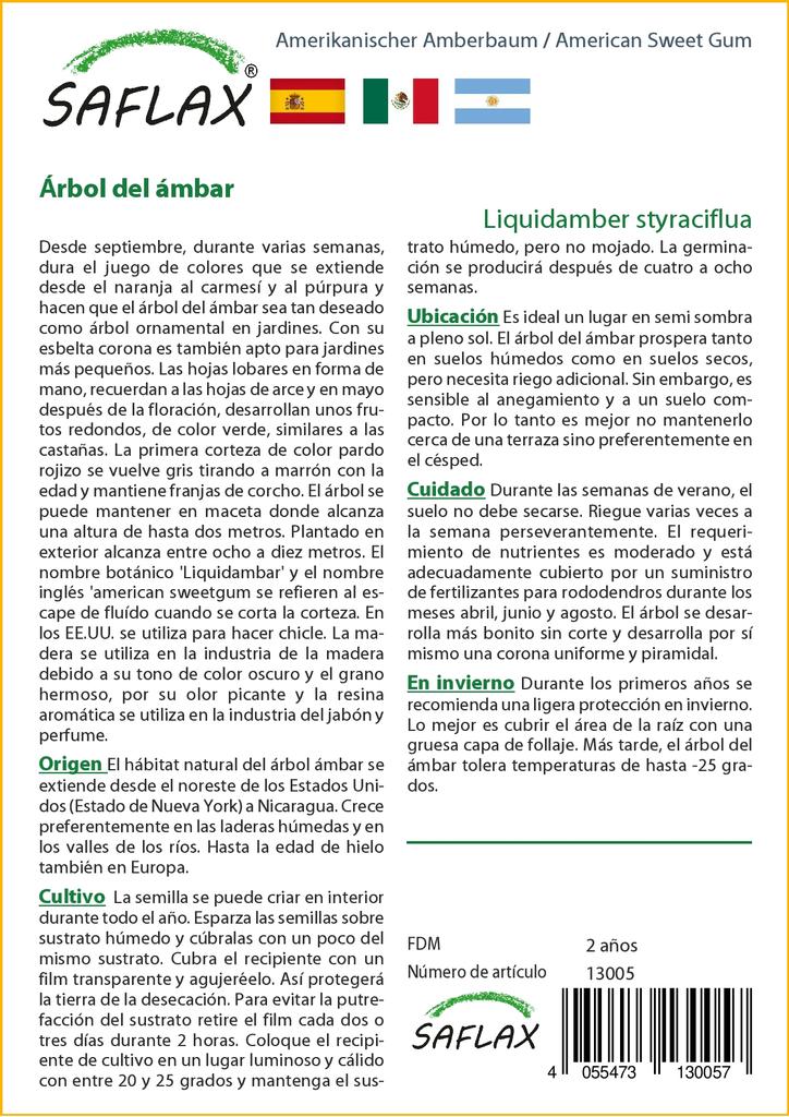 SAFLAX American Sweet Gum - 100 Seeds - Liquidamber Styraciflua