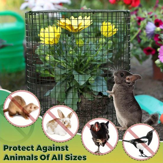 Wire Plant Protector with Top Cover Detachable Wire Mesh Plant Cage Plant Shield Keep Animals Out for Garden Plants Flowers Vegetables