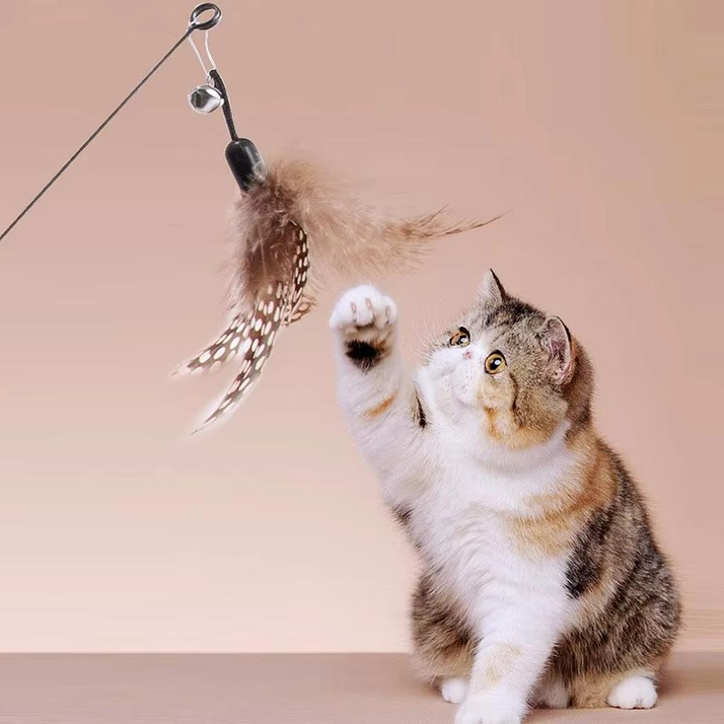 Interactive Cat Wand Toy with Feather Attachment Durable Handle Flexible Wire Design for Indoor Pet Play Exercise