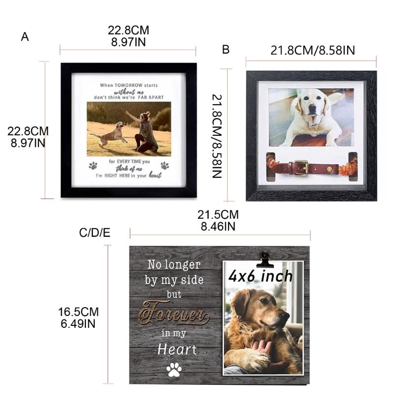 Pet Memorial Picture Frame Sympathy Dog Cats Collar Gift Memorial Picture Loving Dog Keepsake for Pet Collar Holder