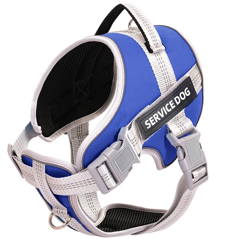 Adjustable Explosion-Proof Dog Leash and Harness for Walking
