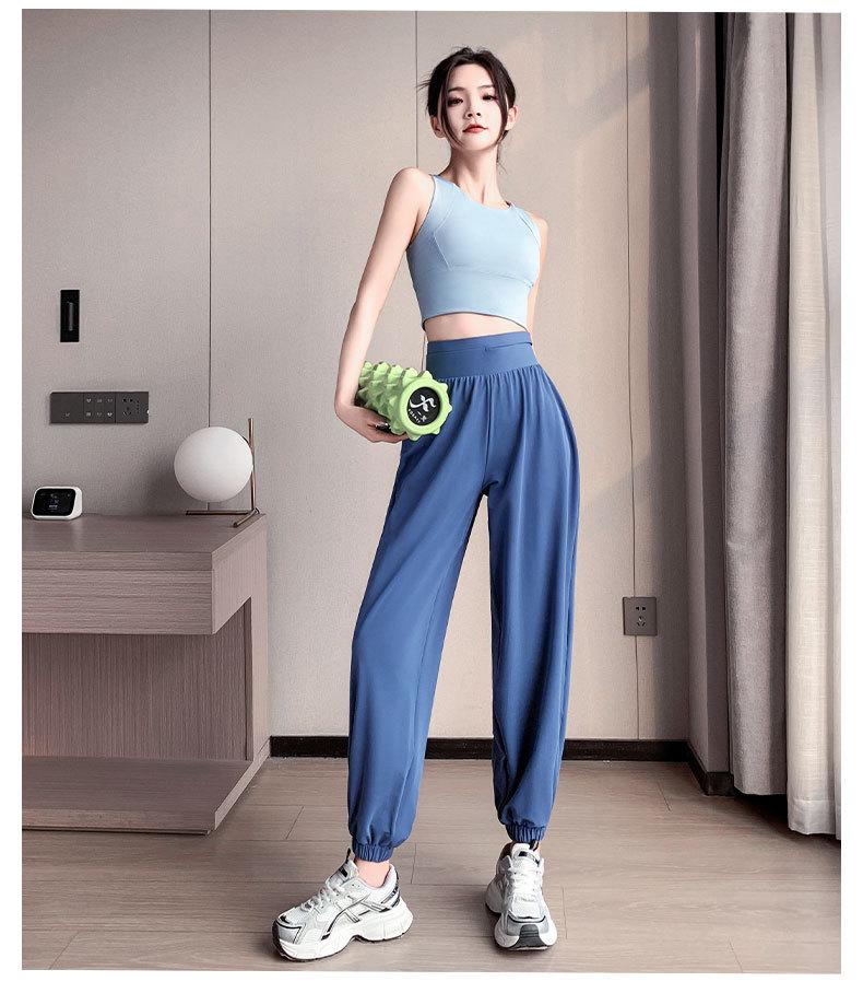 Women's Summer 2024 Shockproof Yoga Bra and Quick-Dry Pants Fitness Set