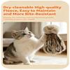 Katten – Speelgoed voor katten