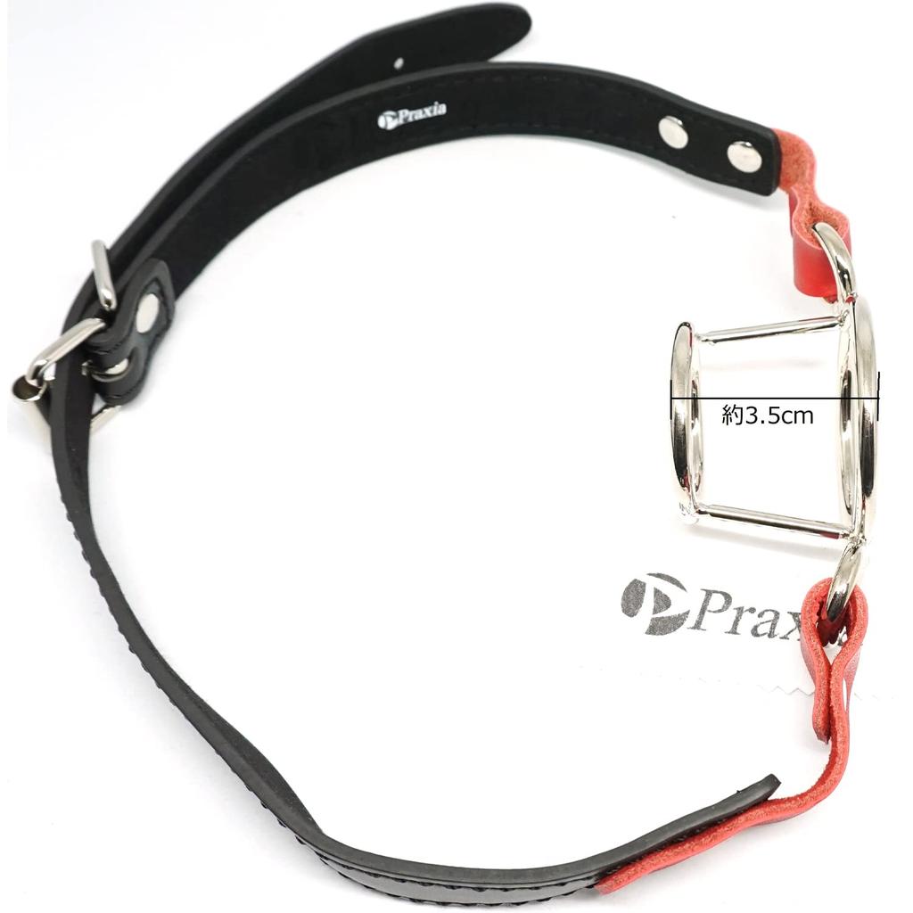 Praxia Metal Gag with Double Ring Mouth Mouth Mouth SM Goods Logo - Gag, Gag, Opener, [Includes Pouch/Cleaning Cloth]