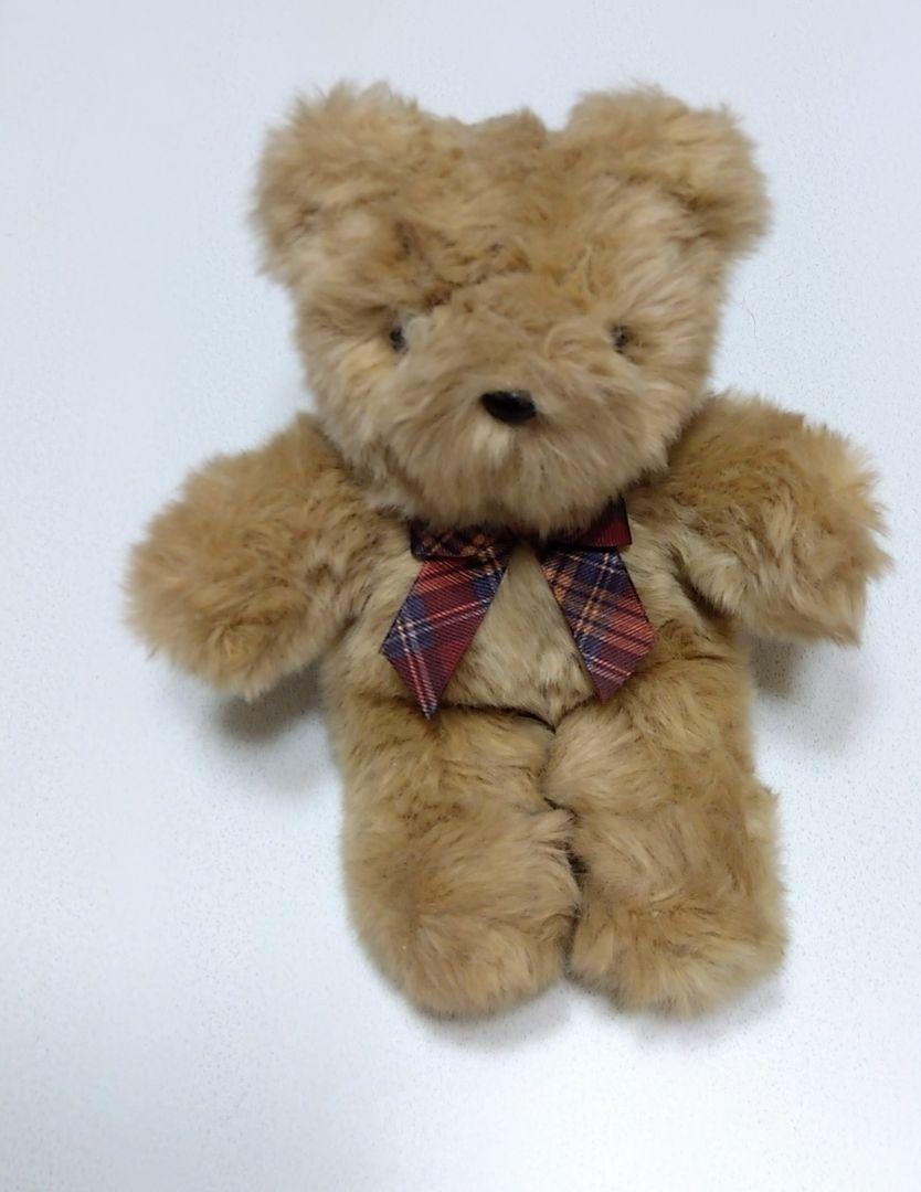 

[USED] teddy bear