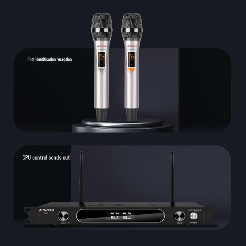 Sansui PK-10 Home & Commercial Karaoke Speaker System