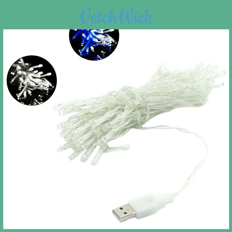 Usb Led String Of Lights With Meteor Shower Effect For Christmas And Holiday Decor