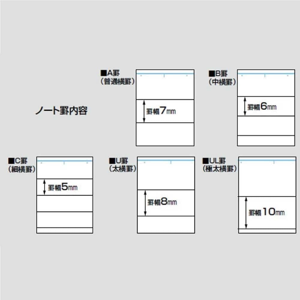 KOKUYO Campus A4 30 Notebook, Size, Ruled, Sheets, 10-pack (No. 203AX10)