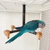 Bird Perch Nature Molar Stand for Parrots Conure Supplies Budgies Grinding Scratchers for Small Medium Parrots Toy