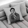 Singer N-Niall H-Horan Throw Pillow Case For 55X55Cm 30X30Cm 50X50Cm 45X45Cm 40X40Cm Square Chair Pillowcase Case