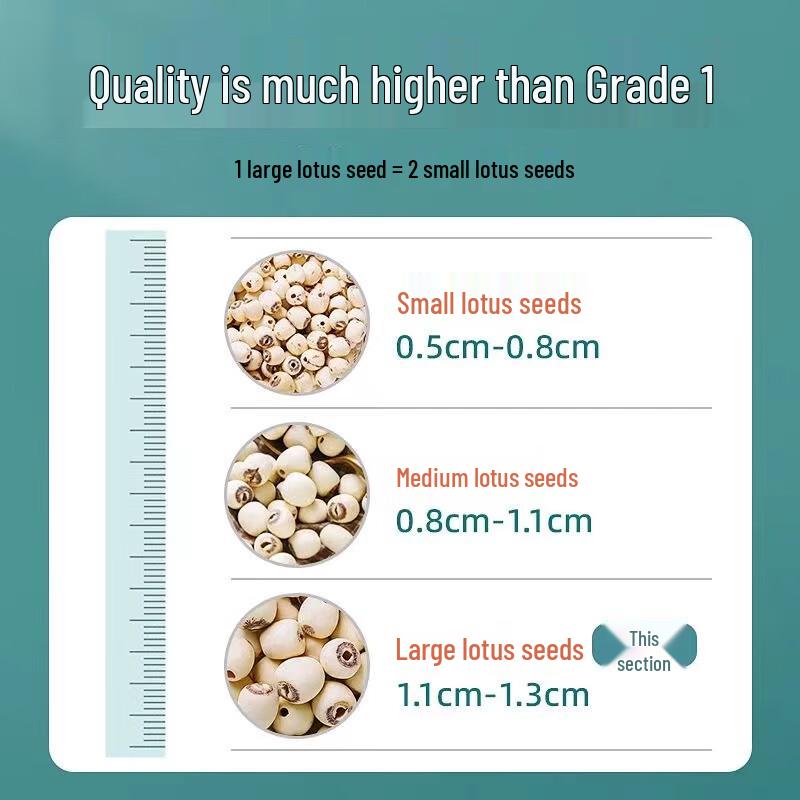 Yun Qianjin Coreless Dried Lotus Seeds, 300g