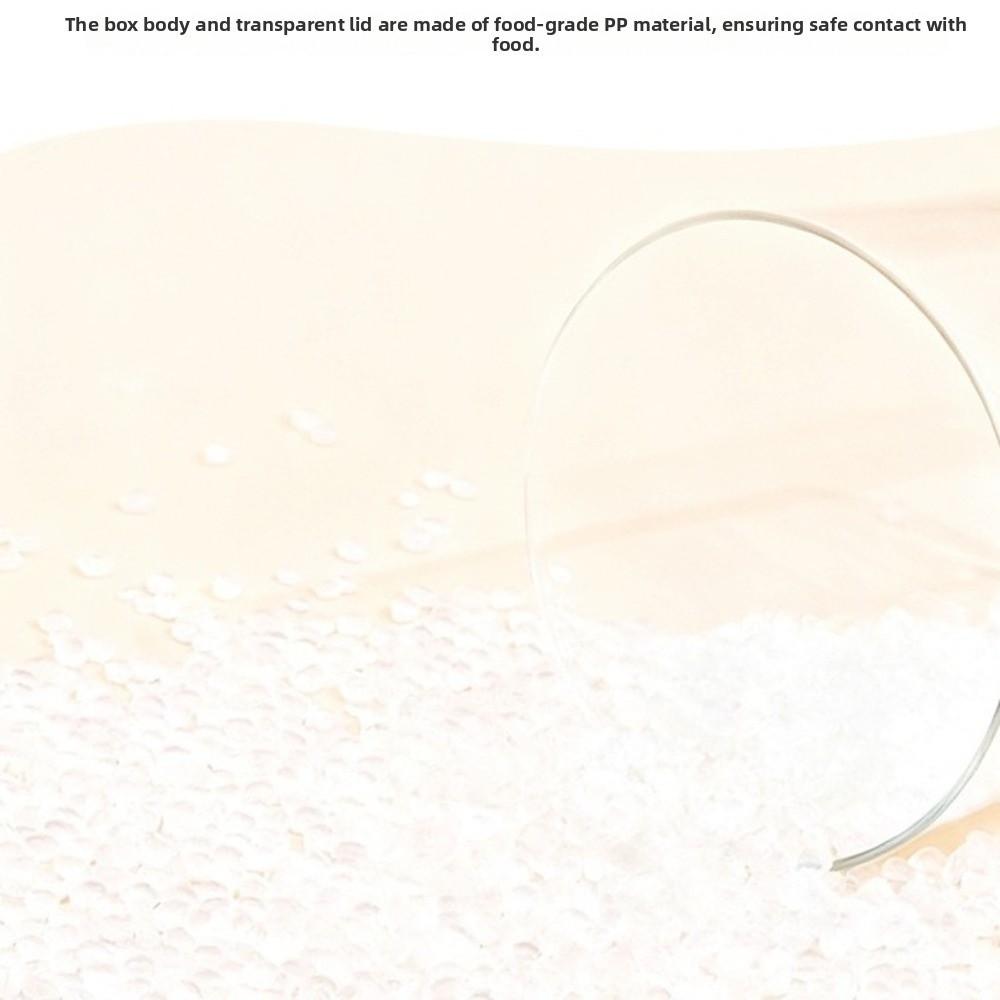 21/28/31 Grids Medicine Box Portable Large Capacity Medicine Storage Box Transparent Detachable Pill Box Daily Medicine