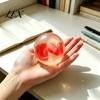 Pearlescent Ball Fidget Toys Shapeable Toy, Anxiety Relief Clear Squeeze Relaxation Fake Fruit Inside Stress Toy for Kids Adults
