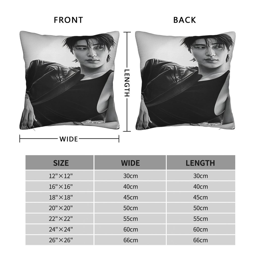 Byeon Woo Seok Pillow Case Comfy Pillow Cover For Living Room Bed Chair Vintage Pillowcases