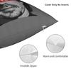 Fernandos Alonsos Pillow Case  Design Pillow Cover For Sofa Bedroom Home Decor Cute Funny Cushion Cover