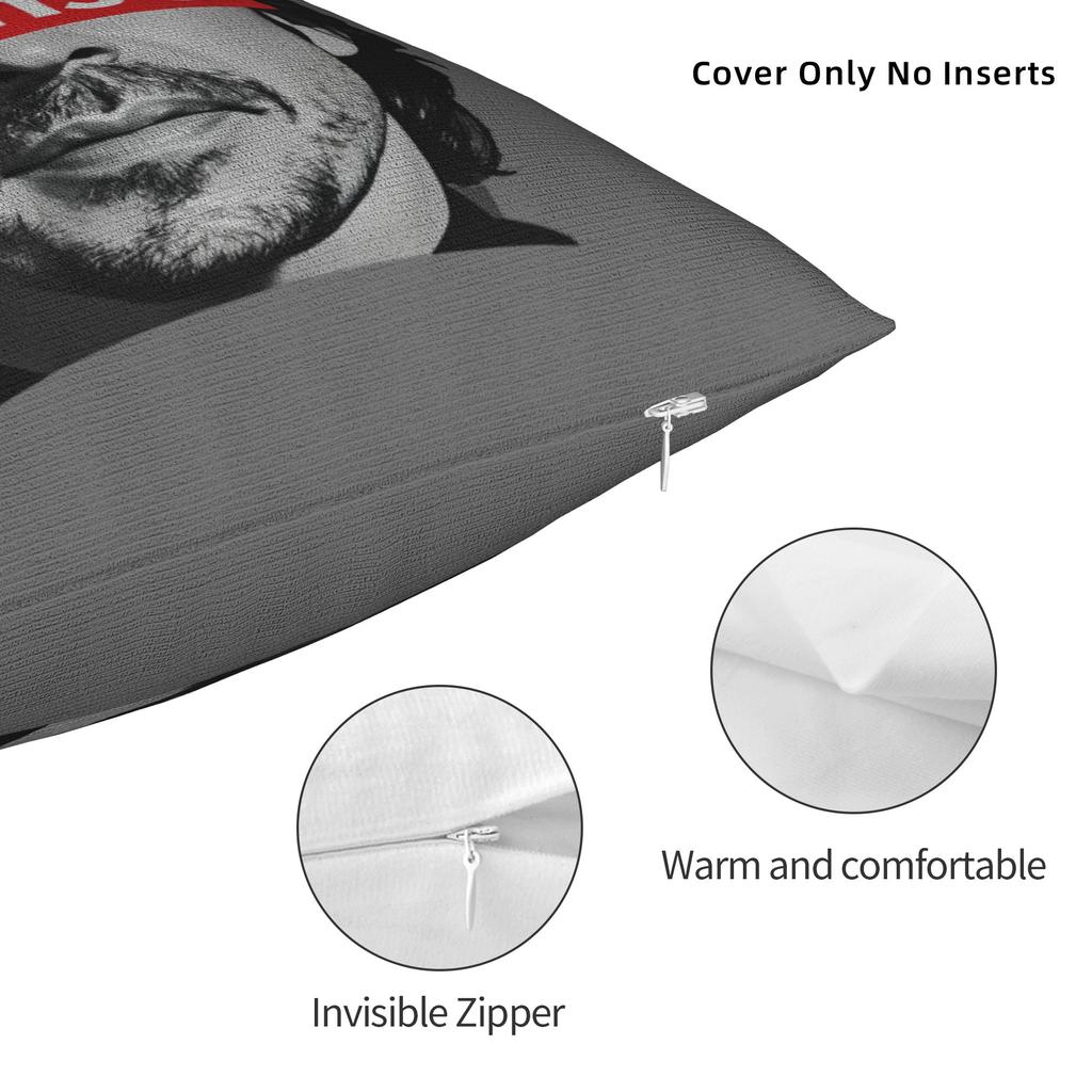 Fernandos Alonsos Pillow Case  Design Pillow Cover For Sofa Bedroom Home Decor Cute Funny Cushion Cover