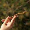 Free Shipping High-End Peach Wood Hairpin for Women – Ancient & Modern Chinese Style