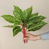 Large Artificial Scindapsus Leaves Elegant Simulated Plants Fake Green Plant Leaves  Wedding Decor