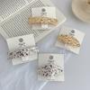 Korean Ins Style Metal Alloy Geometric Square Oval Spring Clip Edge Design Concave and Convex Hair Accessories