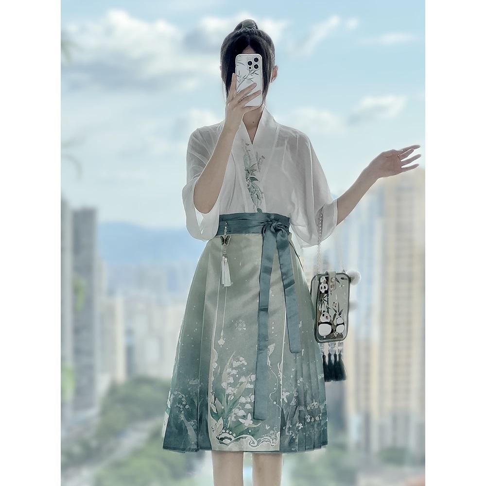 Chinese Song Dynasty Style Hanfu For Women Pleated Skirt Daily Set Spring And Autumn