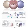SANAG S6S Pro II Open-Fit Ear Clip Wireless Earbuds
