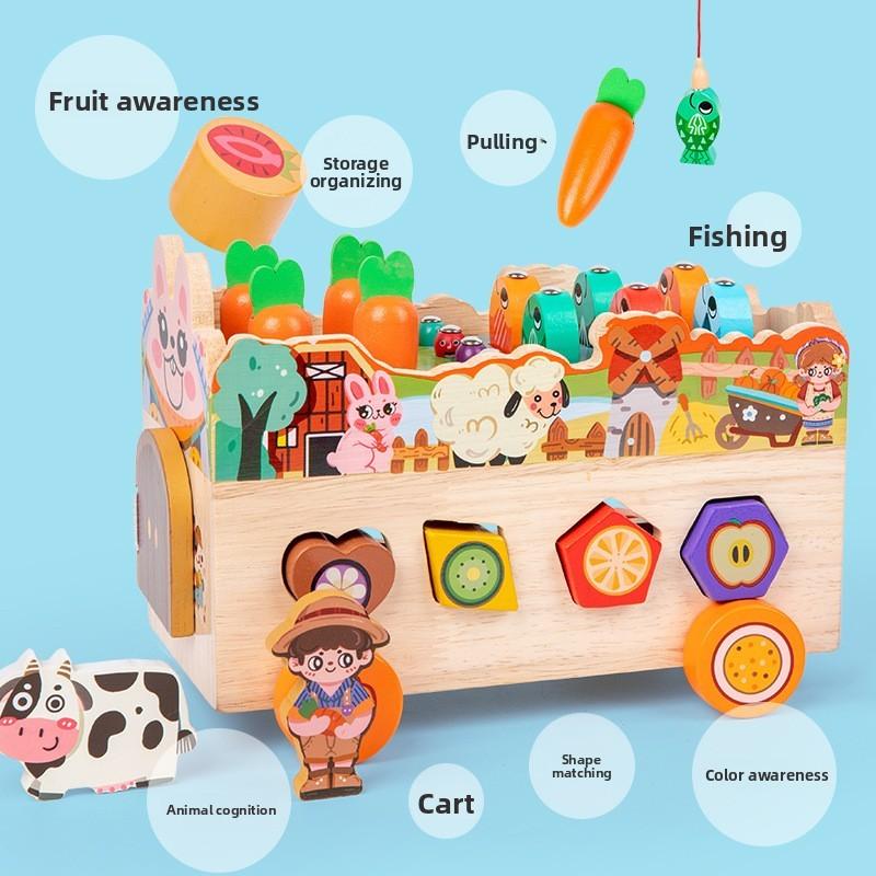 Farm Themed Animal Wooden Brain Teaser Puzzle For Preschool Games Educational