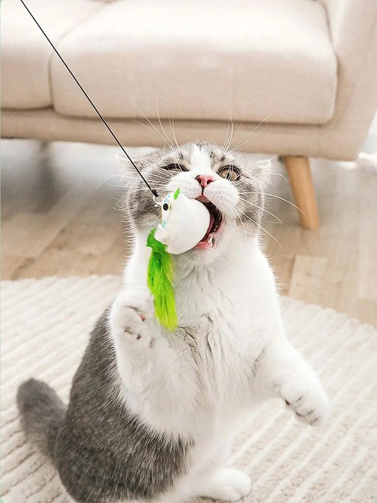 1pcs Cat Interactive Toy Simulate Bird Interactive Sucker Feather Bell Funny Cat Toys