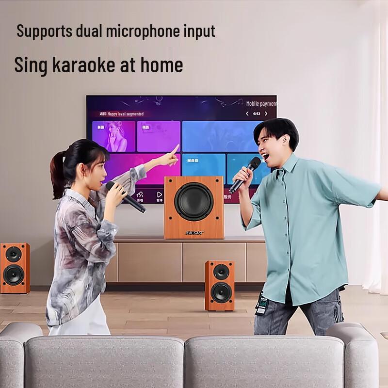 SAST SA-6606 Home KTV Bluetooth Speaker System CN Plug (adapter Included)