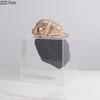 Minimalist Abstract Character Resin Statue Acrylic Display Box Desk Decoration Creative Figures Sculpture Room Aesthetic Decor