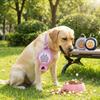 Portable Pet Training Bag Large Capacity Waterproof Dog Snack Bag Leak-proof Buckle Type Dog Treat Bag Pet Feeding Dispenser