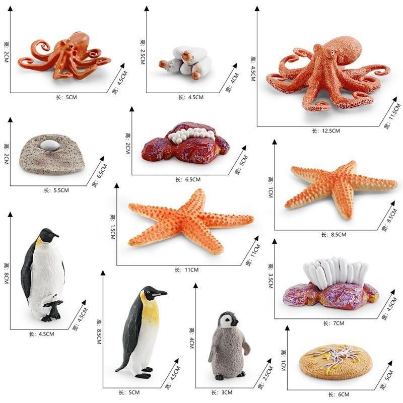 Realistic Ocean Animal Growth Cycle Model Set Featuring Octopus Penguin And Starfish