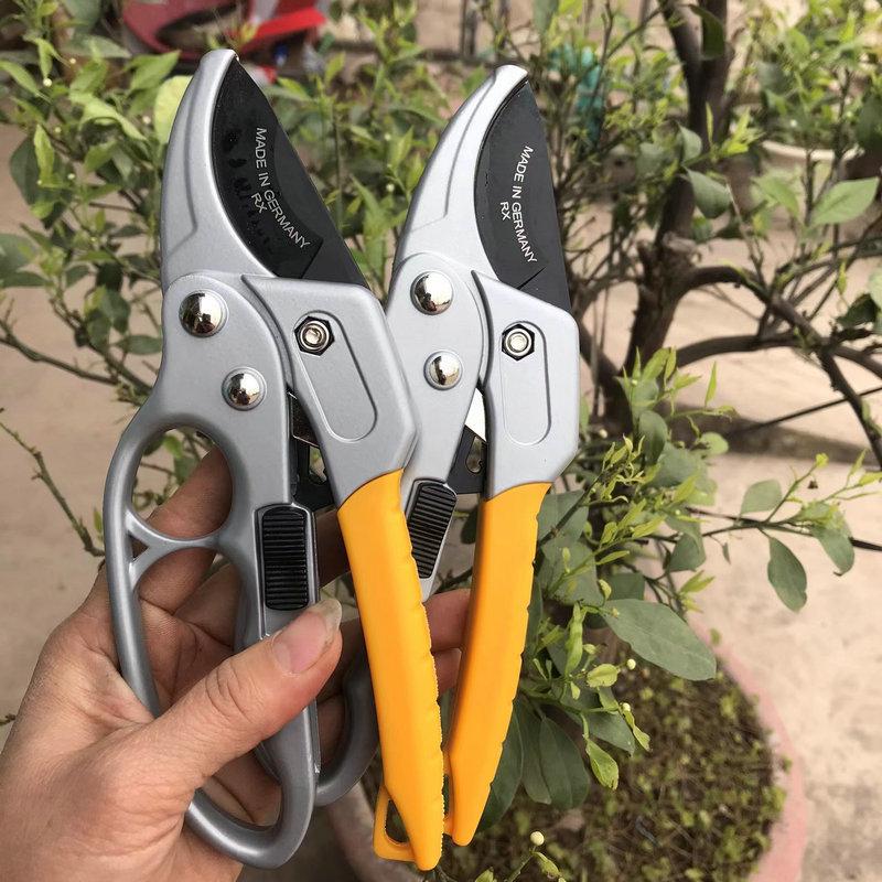 SK-5 Teflon-Coated Segmented Hand Pruner – Fruit & Branch Gardening Scissors