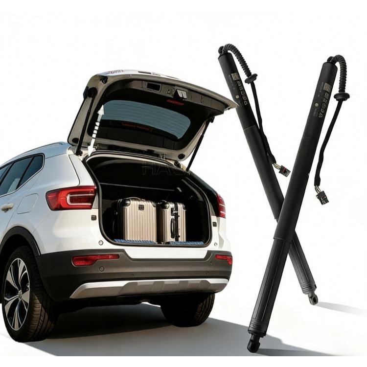 Ford Escape Tailgate Support Strut FT4Z14B351A105 - High Quality