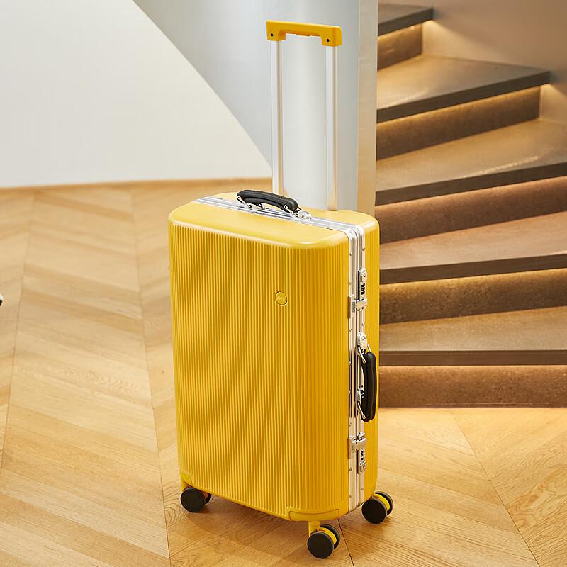 Aluminum Frame Spinner Luggage