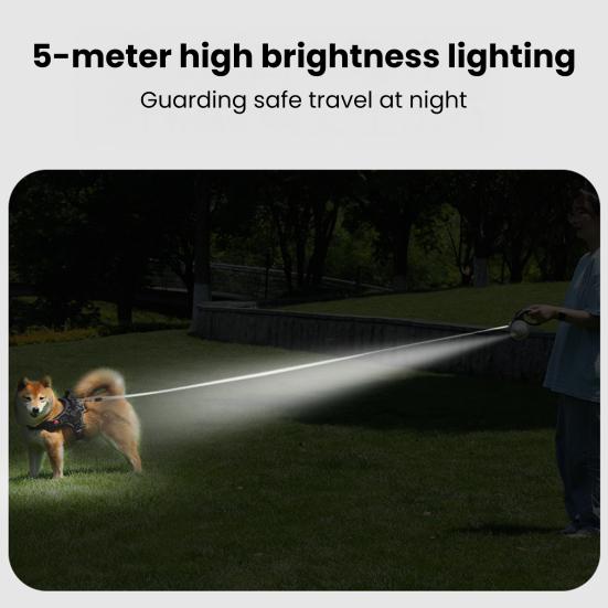 Retractable Dog Leash with LED Light 10Ft 16Ft Nylon Tape Dog Lead with Ergonomic Handle One-Button Control Tangle-Free Leash for Small Medium Dogs