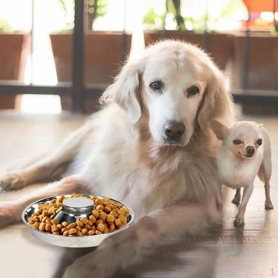 Slow Feeder Bowl Stainless Weaning Food Feeding for Puppy Cat Water Tool Dish
