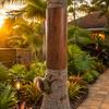 Outdoor Tree Protection Trunk Protector, Squirrel Rodent Baffle Barrier, Bark Texture Wrap with Adhesive for from Raccoon Iguana Guard Trees