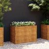 Raised Garden Bed 100x50x69 Cm Corten Steel