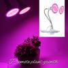 Plant Light LED Countertop Clamp Light Full Spectrum Plant Fill Light Indoor Nursery Succulent
