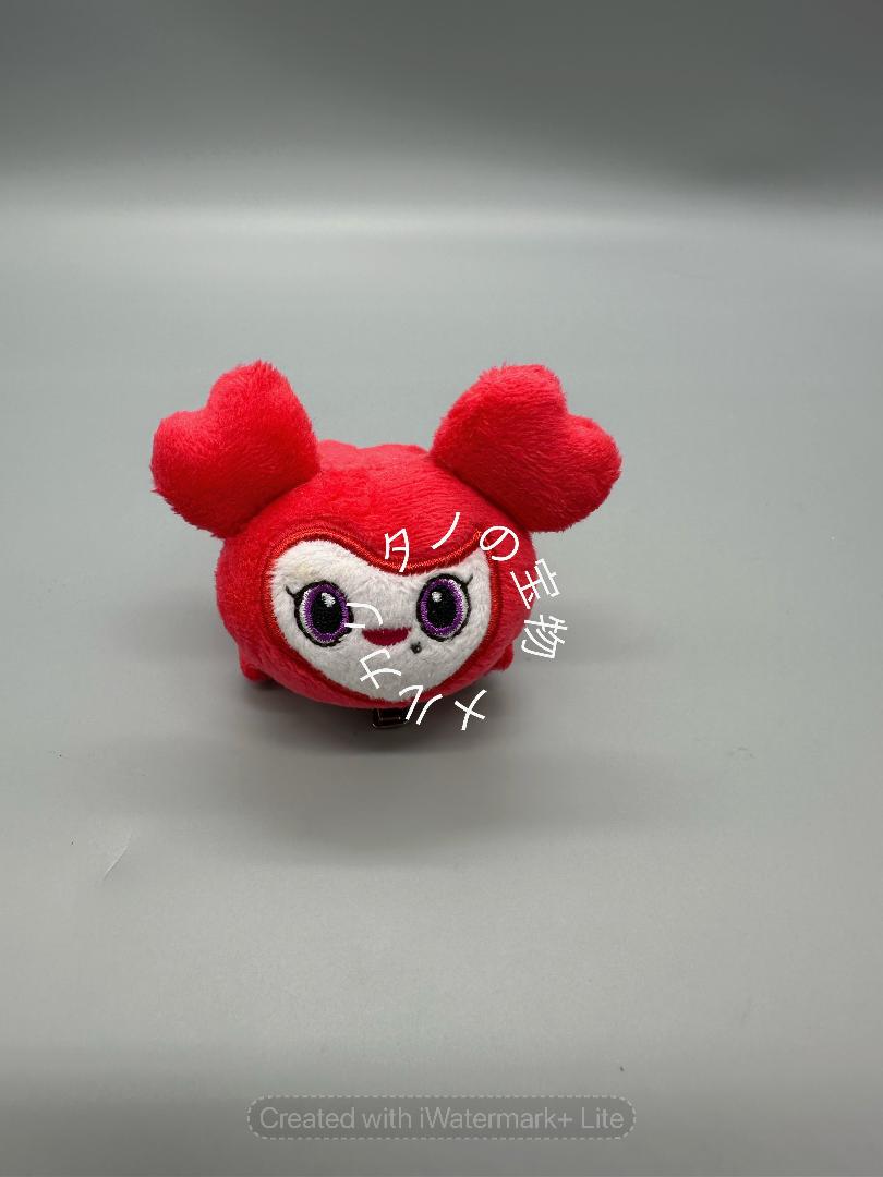 

[USED] Authentic TWICE Chan Blee Hairpin